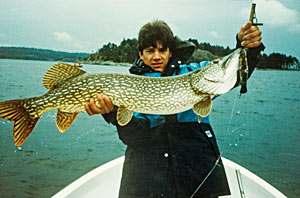 hakan-andersson-fish.jpg